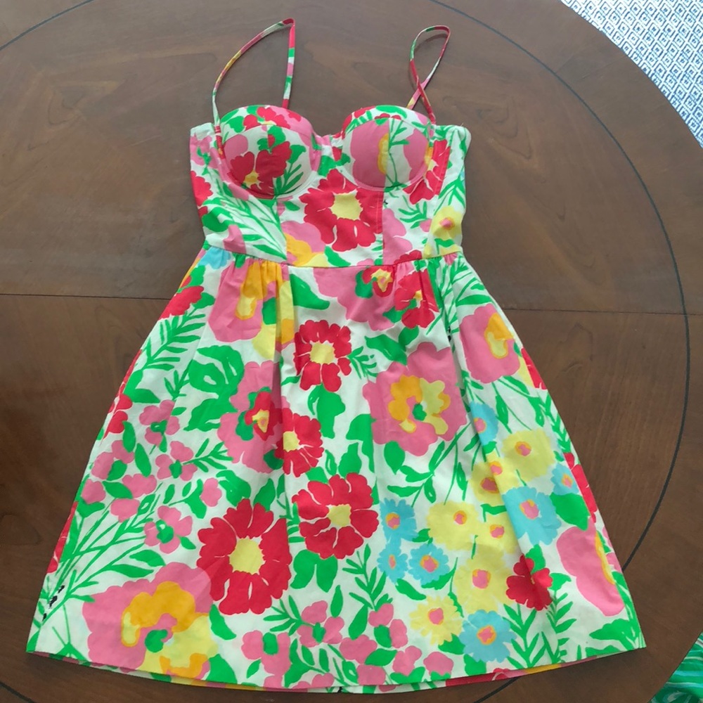 Lily Pulitzer Multicolor Georgie Dress